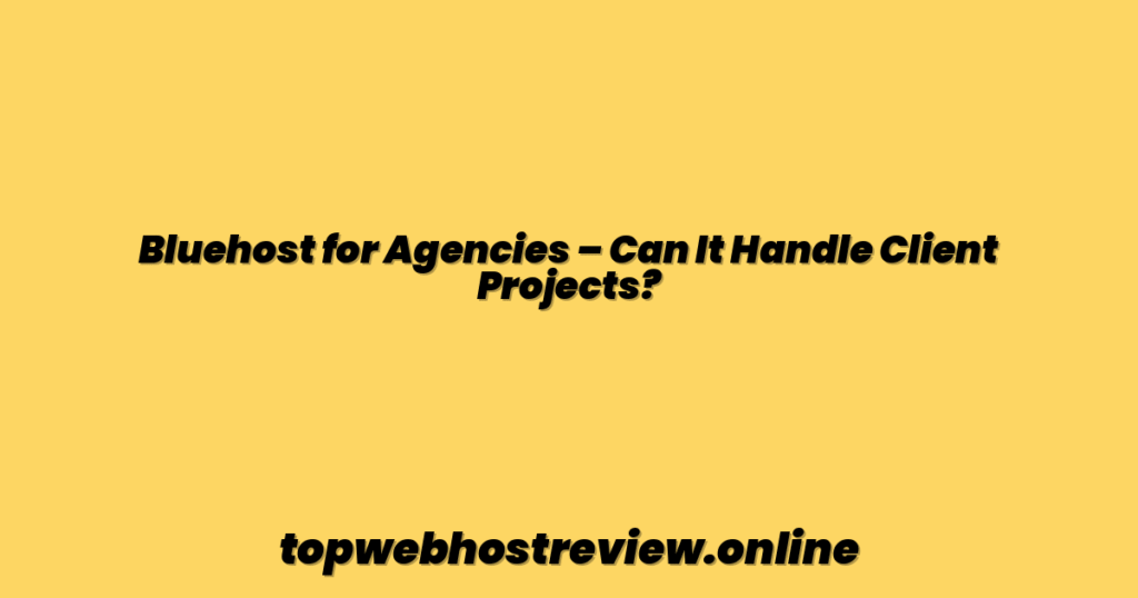 Bluehost for Agencies – Can It Handle Client Projects?
